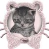 Video sticker 🐱 @MyStarsX | Раз...