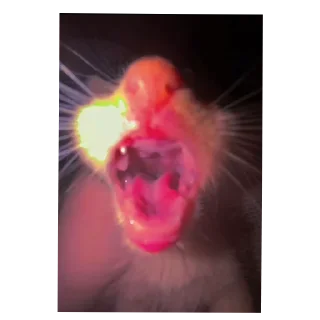 Телеграм стикер 👄 Zelenka