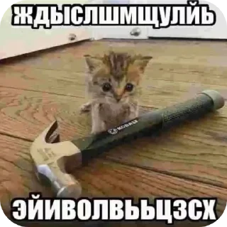 Телеграм стикер 😔 Zelenka