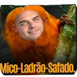 Telegram sticker 😀 Não eleito