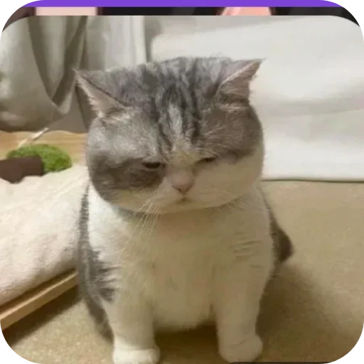 Sticker 👍 @Kie_Official_Acc Stk🙂ခိုးရင် ဖင်လိုးမယ်