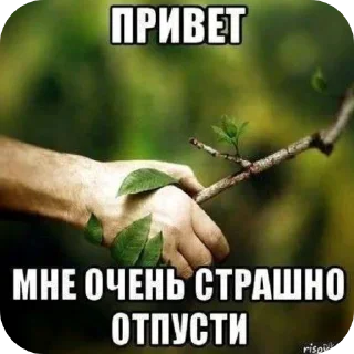Video sticker 🙁 ультра супер мега рандом