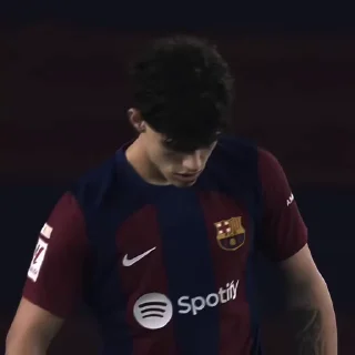 Video sticker ✔️ Λɴᴏxㅤ死's Video-Pack