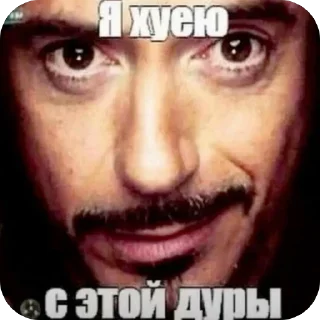 Video sticker 🤨 СТИКЕРЫ 2026