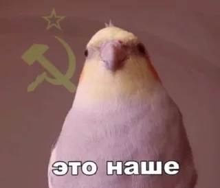 Telegram sticker 🦜 Коммунизм