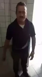 Video sticker 🦜 Credo 😒