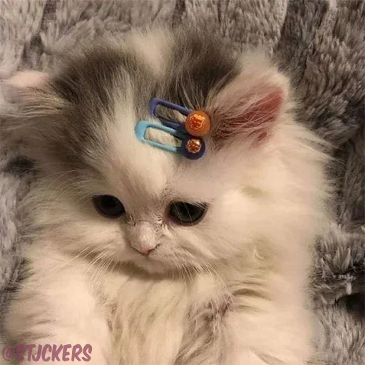 Sticker 😞 Sσɳα🫧🦢@imarveljesus14