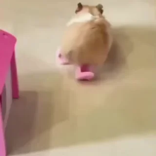 Video sticker 🎈 Sσɳα🫧🦢@imarveljesus14