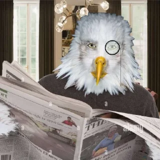 Telegram sticker 🦅 Pack dos Casas