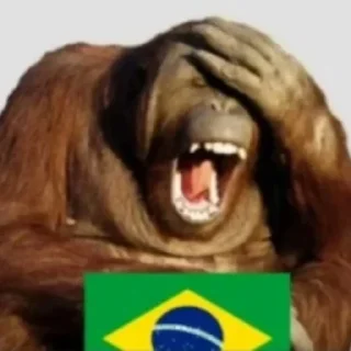 Video sticker 🇧🇷 Pack dos Casas