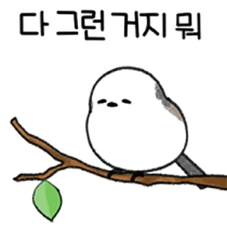 Telegram sticker 💬 왔다갔다 배배새 By @KakaoEmoticon
