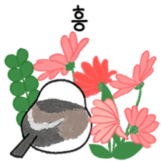 Telegram sticker 💬 왔다갔다 배배새 By @KakaoEmoticon