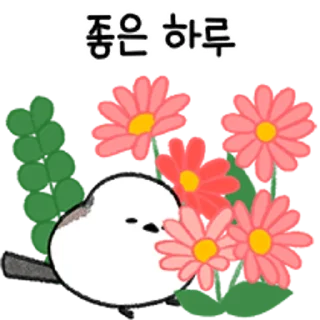 Telegram sticker 💬 왔다갔다 배배새 By @KakaoEmoticon