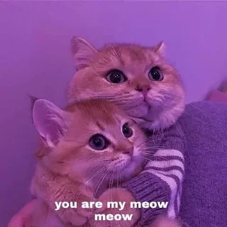 Телеграм стикер 🌟 SAI <3