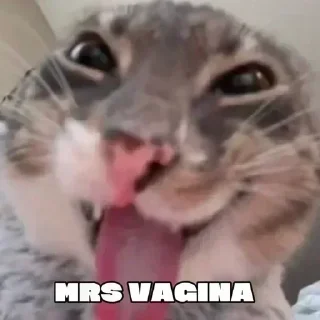 Телеграм стикер 🌟 Легенды YaShеk @YaShkiCondo