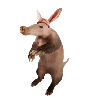 Telegram sticker ✋ Vark :: @fStikBot