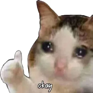 Telegram stiker 😉 Harshita...💗✨'s stickers