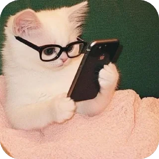 Sticker 👓 Baka⁴