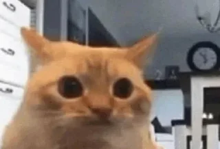 Telegram sticker 😐 Baka⁴