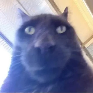 Telegram sticker 😁 Baka⁴