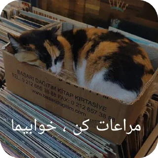 Telegram sticker 💤 #خدایاشکرت