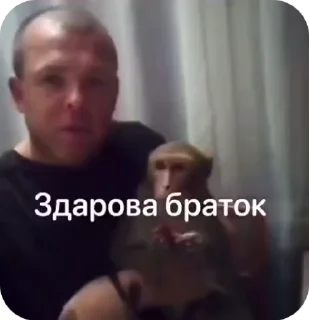 Video sticker 🌟 Бибизяны 4 от @grixa1337_tg :: @fStikBot