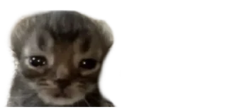 Telegram stiker ☹️ Lil Cats | @Caartoon_TV