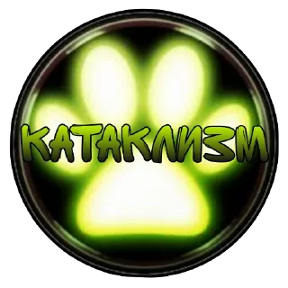Video sticker 🐱 Miraculous