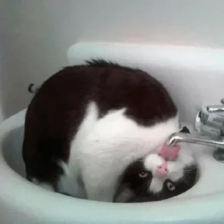 Video sticker 🙃 「𝔅ค𝔇ค ¹⁸⁷」s haruka pack