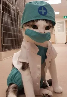 Телеграм стикер 😷 「𝔅ค𝔇ค ¹⁸⁷」s haruka pack