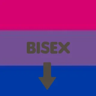 Video sticker 🏳️‍🌈 LGBTQA+🏳‍🌈