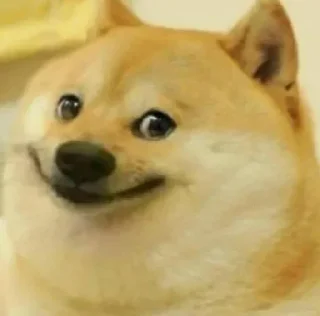 Video sticker 🌝 මතිෂ සදරැවන් gaywotta