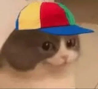 Video sticker 😼 මතිෂ සදරැවන් gaywotta