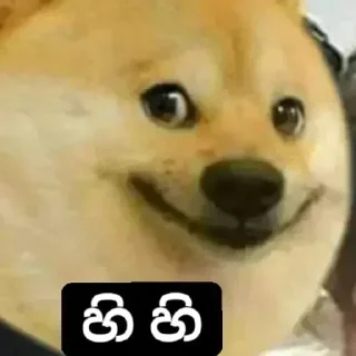 Telegram sticker 😆 මතිෂ සදරැවන් gaywotta