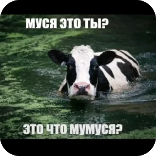 Telegram sticker 🫥 а ты знаешь толк в мемасиках by @DuoSticker_bot