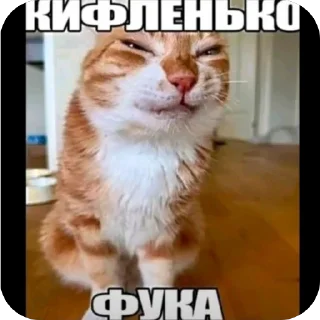 Video sticker 🫥 а ты знаешь толк в мемасиках by @DuoSticker_bot