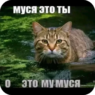 Telegram sticker 🫥 а ты знаешь толк в мемасиках by @DuoSticker_bot