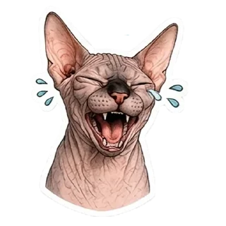 Telegram stiker 🤣 Рафа