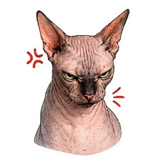 Video sticker 😡 Рафа