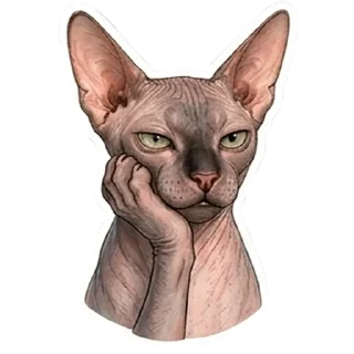 Telegram stiker 😒 Рафа