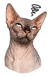 Video sticker 🙄 Рафа