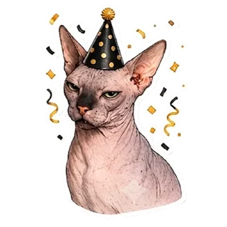 Telegram stiker 🎉 Рафа