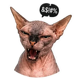 Telegram stiker 🤬 Рафа