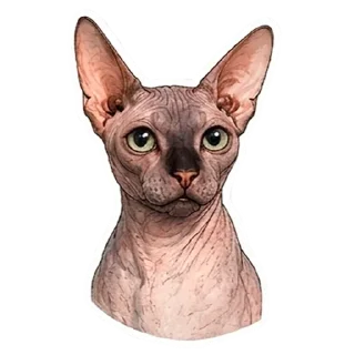 Sticker 🥹 Рафа
