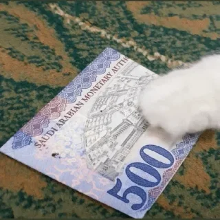 Telegram sticker 💵 @AT882