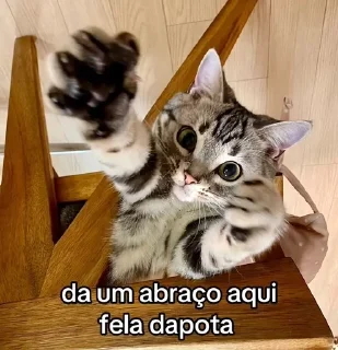 Telegram sticker 🌟 Café a dois :: @fStikBot