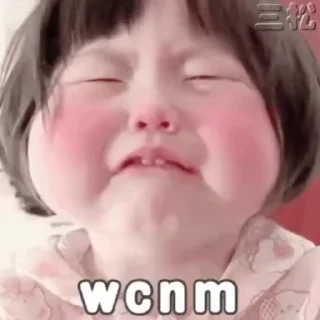 Video sticker 🌟 九台招商民谣半年扶持55%  @my5277