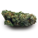 Telegram stiker 🍃 МИР.КЕК.МДМА. @psyhcoactive