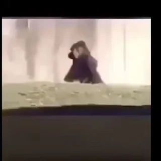 Video sticker 👑 @S_S5B