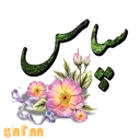 Telegram sticker 🙏 shfm
